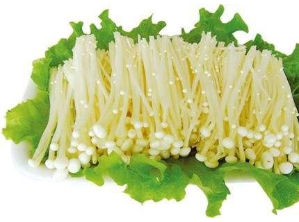 金针菇根部能吃吗 怎么切金针菇干净又方便