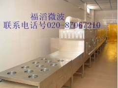 微波烘干设备图1