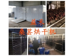 桑葚烘干机价钱 桑葚干燥设备报价图1