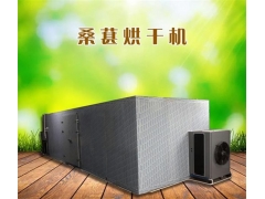 桑葚烘干机价钱 桑葚干燥设备报价图2