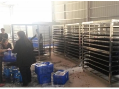 桑葚烘干机价钱 桑葚干燥设备报价图3