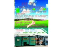 环保灭菌锅炉，高效节能环保省料，省人工图1