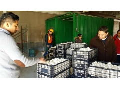 食用菌保鲜真空预冷机图1