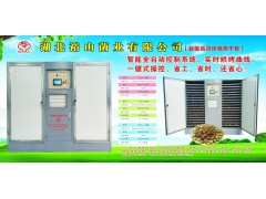 烘干机（高效节能）图3