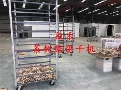 茶树菇烘干机 专业厂家推荐图2