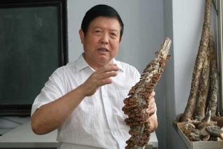 把論文寫在大地上　記吉林農(nóng)業(yè)大學(xué)植物保護(hù)科研創(chuàng)新團(tuán)隊(duì) ()