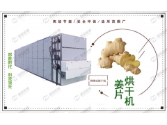 国信箱式蔬菜烘干机 空气能热泵小型蔬菜烘干机 网带烘干机图1