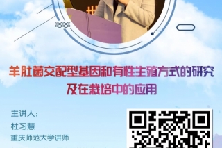 【每日一课】杜习慧：羊肚菌交配型基因和有性生殖方式的研究及在栽培中的应用 ()