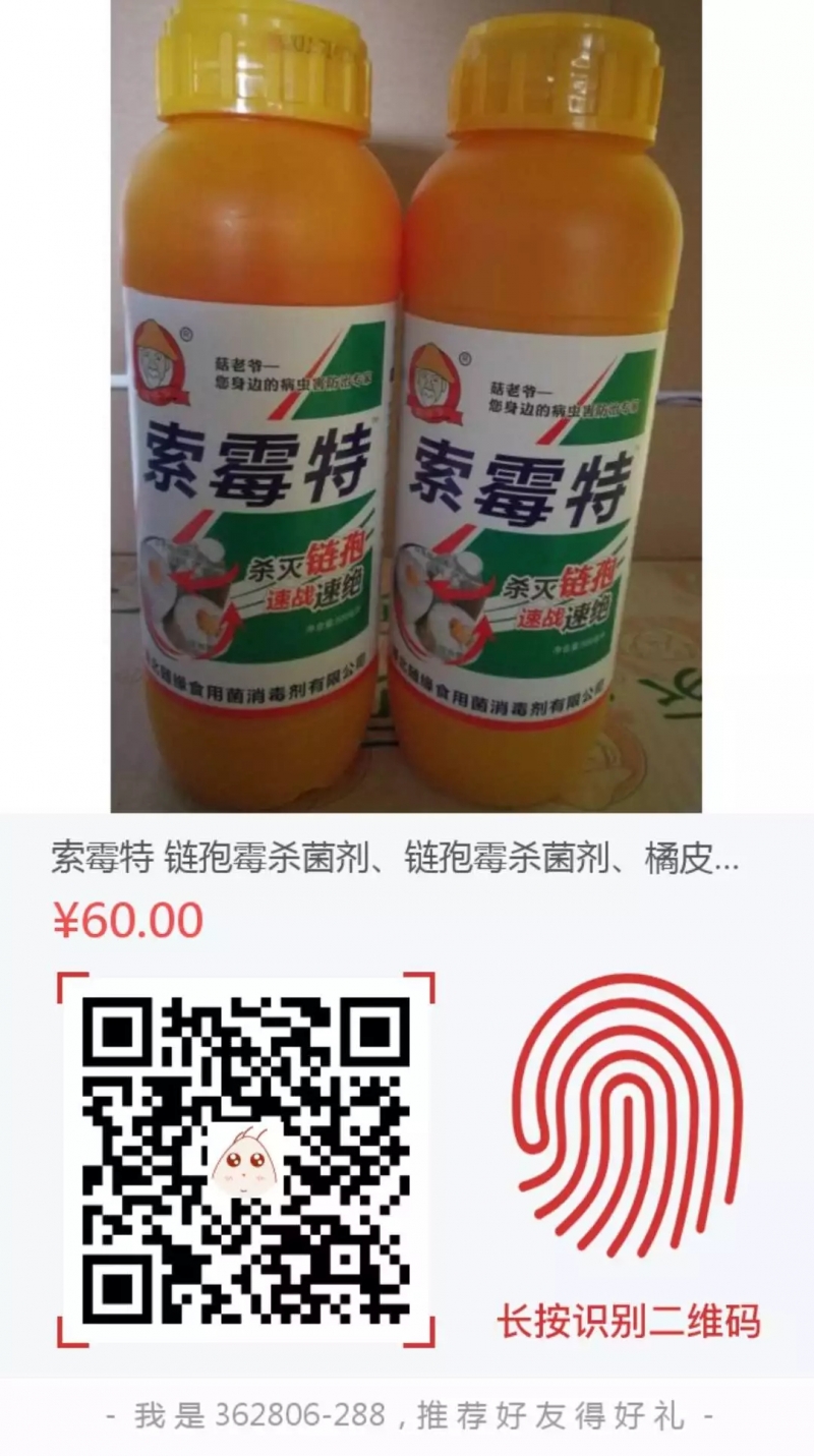 640.webp (1)