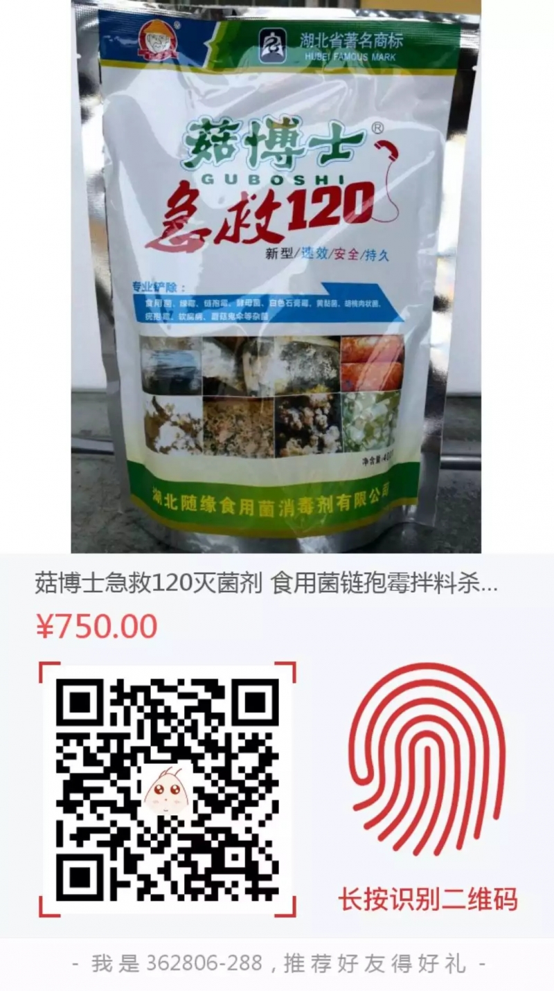 640.webp (2)