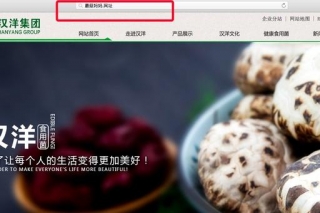 食用菌产业风生水起 ＂蘑菇妈妈.网址＂借力中文域名领先品牌市场 ()