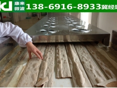 调味品干燥杀菌设备图3