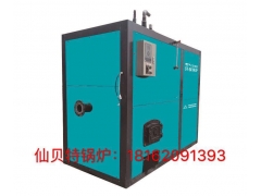 仙贝特环保锅炉图2