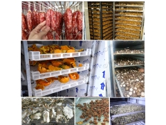 国信专业空气能热泵烘干机,新型高效辣椒烘干机设备图1