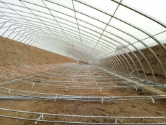食用菌温室，羊肚菌温室，香菇温室等图1