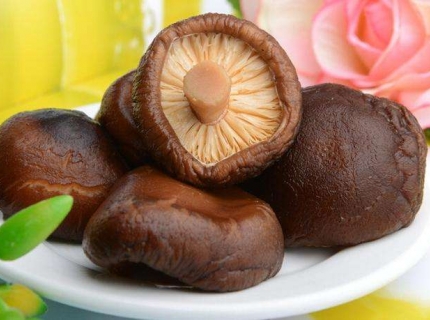 常吃香菇可以延缓衰老? 香菇有哪些功效?