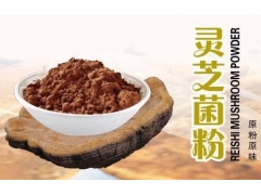 供应：牛樟芝、桑黄、 虫草、灵芝、云芝、降糖灵芝、猴头菇菌粉图2