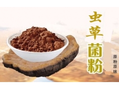 供应：蛹虫草即食菌粉图3