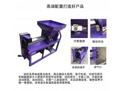 2018年双搅珑平菇全自动装袋机 全自动香菇装袋机价格图3