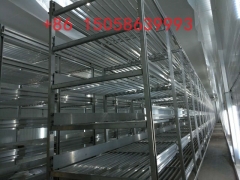 双孢菇种植菇架图1