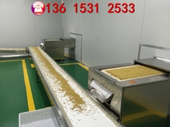 新型隧道式微波五谷杂粮熟化设备图1