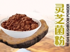 常年供应：灵芝即食菌粉图1