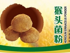 常年供应：猴头即食菌粉图1