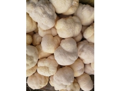 基地供应东北猴头菇鲜品图1