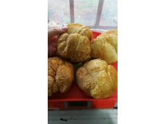 基地直供东北猴头菇干品图1