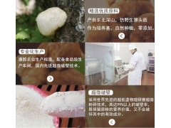 基地直供猴头菇粉图1