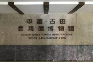 菌文化的傳承與發(fā)展——中國·古田食用菌博物館 ()