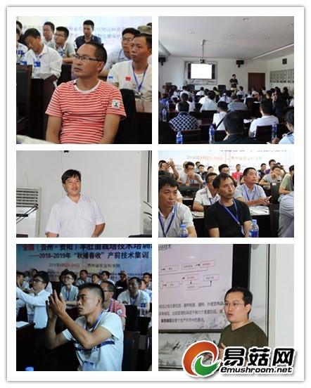 initpintu_副本