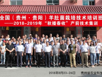 全国（贵州·贵阳）羊肚菌栽培技术培训班——2018-2019年“秋播春收”产业技术集训圆满落幕