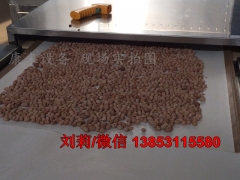 新型环保五谷杂粮低温烘焙熟化设备图3