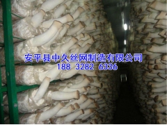 出菇架厂家香菇出菇架子食用菌架子蘑菇网片绿色铁丝网图1