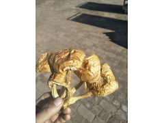 滑子菇烘干设备图1