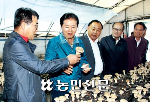 신품종 ‘청양버섯’ 명품화 사업 박차
