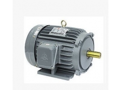 高崎高效率铸铁电机40HP卧式goki铸铁电机搅拌机电机图3