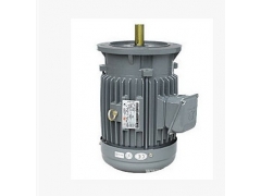 高崎高效率铸铁电机30HP卧式goki铸铁电机搅拌机电机图1