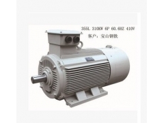 高崎高效率铸铁电机30HP卧式goki铸铁电机搅拌机电机图2