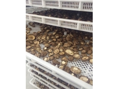 香菇烘干机价格 香菇烘干设备报价图3