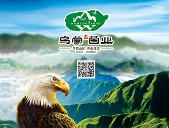 貴州烏蒙騰菌業(yè)有限公司參與協(xié)辦2018第六屆全國天麻會議暨寧強(qiáng)第二屆天麻貿(mào)易洽談會 ()