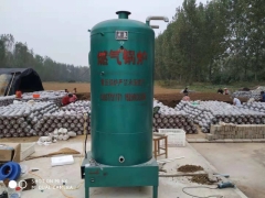 天然气灭菌锅炉图2