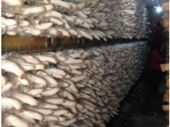 食用菌架_古田蘑菇架_食用菌架厂家供应商销售-中金丝网图3