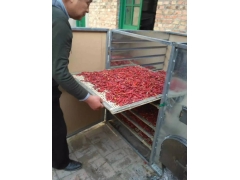 18格烘干机 食用菌烘箱 小型箱式烘烤设备烘干箱图2