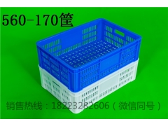 食品级塑料筐蘑菇筐蔬菜周转筐厂家图1