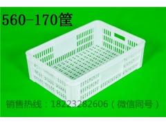 食品级塑料筐蘑菇筐蔬菜周转筐厂家图2