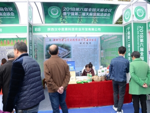 B8 陜西漢中思青科技農業開發有限公司