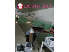 西瓜子微波干燥杀菌设备图1