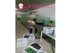 西瓜子微波干燥杀菌设备图2